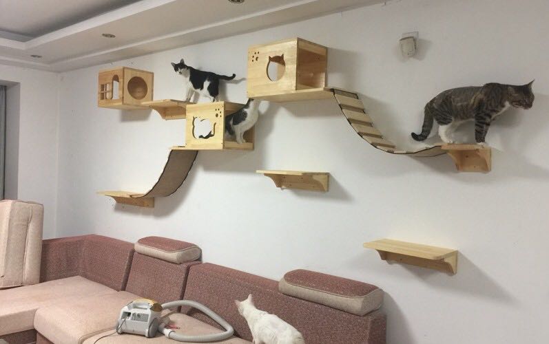 Wall-Mounted Wooden Cat Litter Box