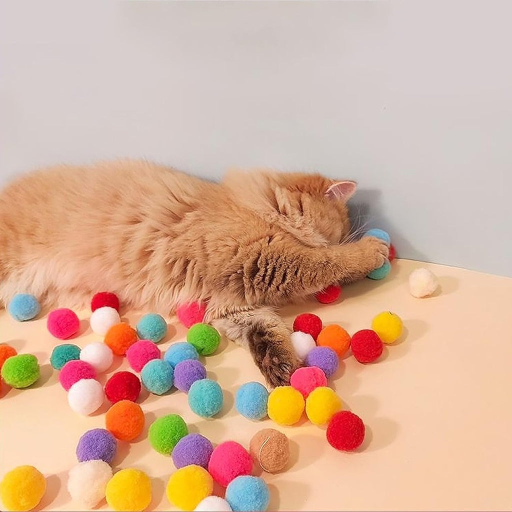 Cat Fetch Launcher Toy