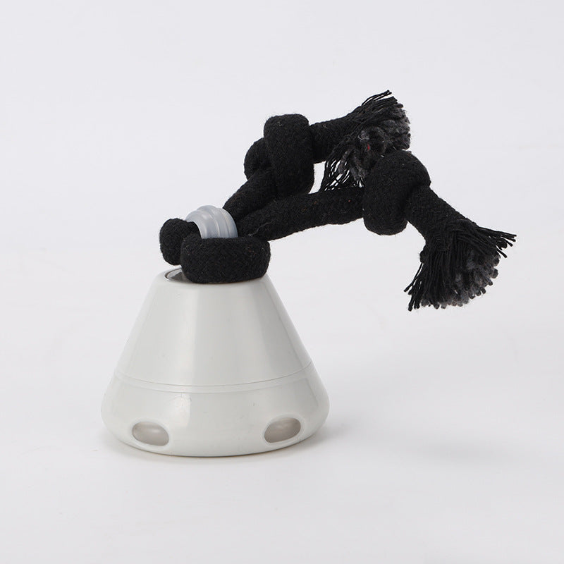 Joyful Automatic Outdoor Dog Training Ball