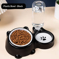 2-in-1 Pet Food & Water Station