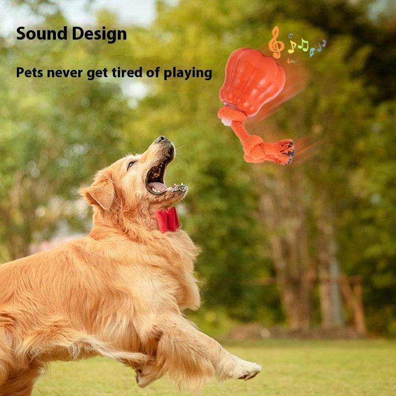 Joyful Automatic Outdoor Dog Training Ball