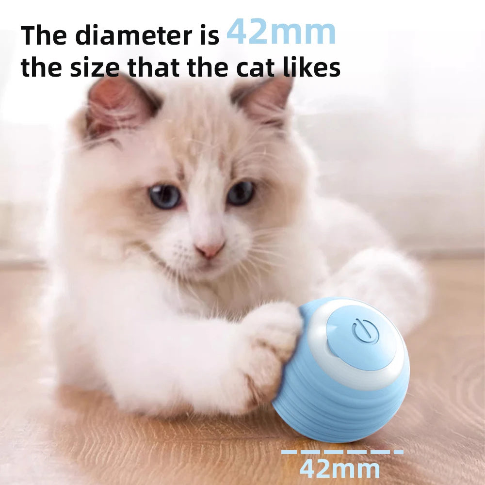 Interactive Automatic Rolling Ball