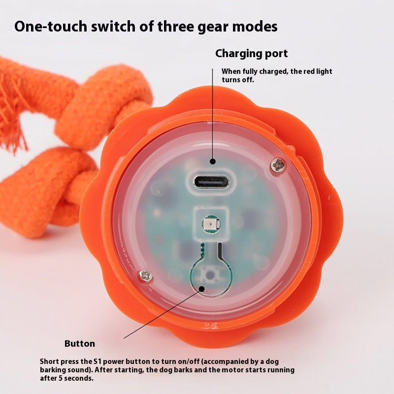 Joyful Automatic Outdoor Dog Training Ball