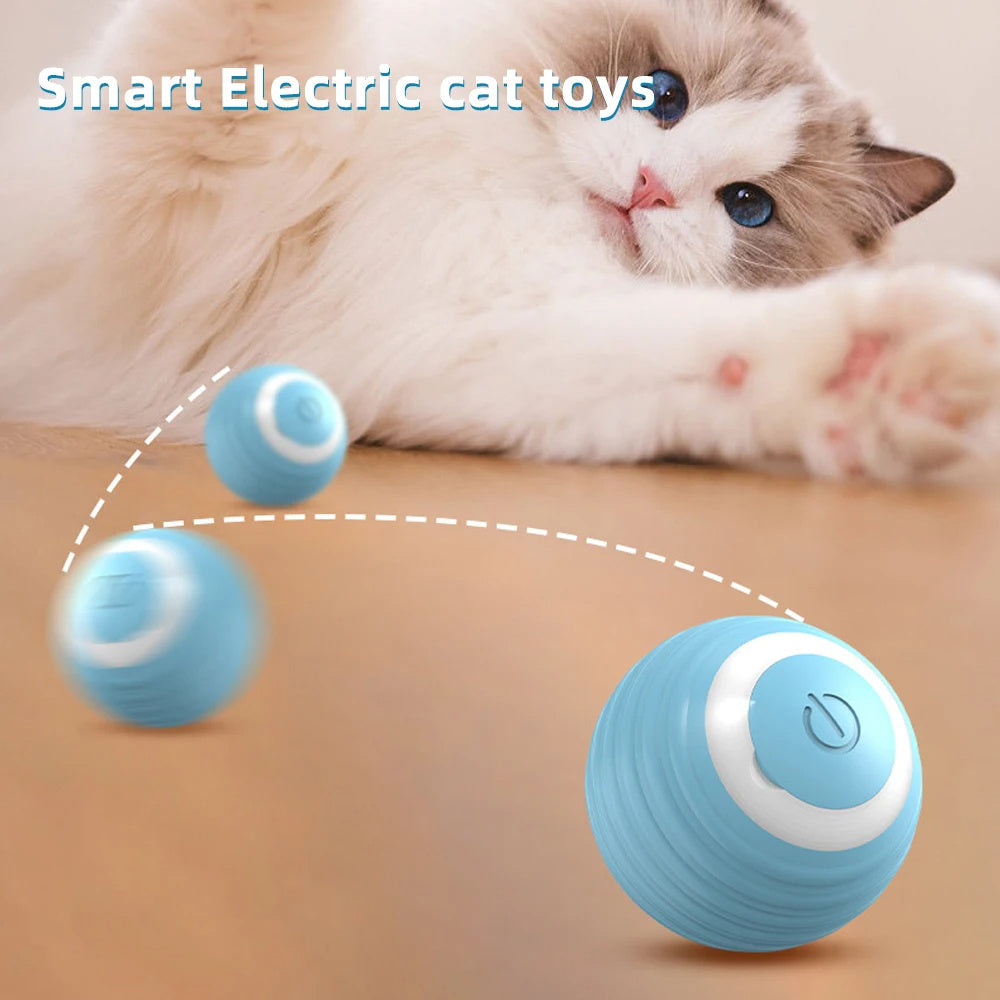 Interactive Automatic Rolling Ball