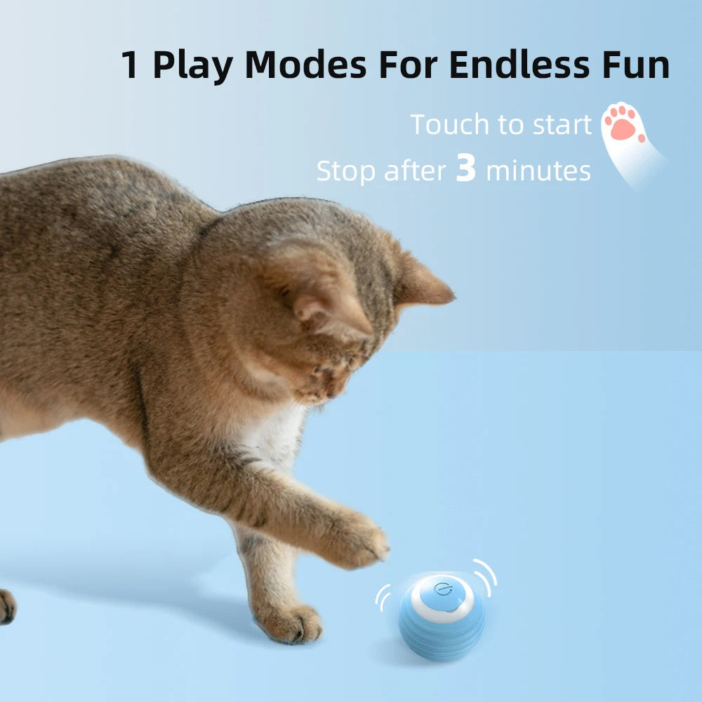 Interactive Automatic Rolling Ball